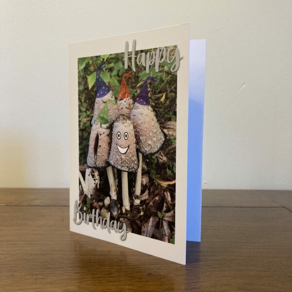 Birthday Fungi (3 pack Birthday Cards)