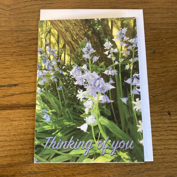 Bluebell (Single Greeting Card) - Image 2