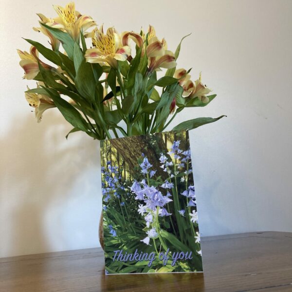 Bluebell (Single Greeting Card)