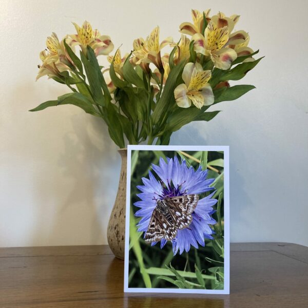 Wings of Hope (3 Pack Greeting Card) - Image 4