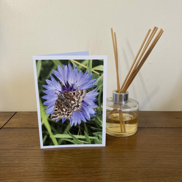 Wings of Hope (3 Pack Greeting Card)